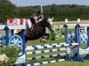 jumper Charlotte Charmante (German Riding Pony, 2013, from Night-Power)