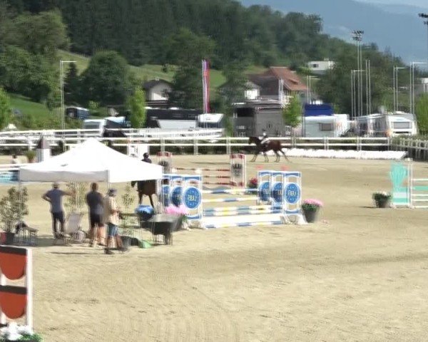 Reitturnier St. Margarethen 2024