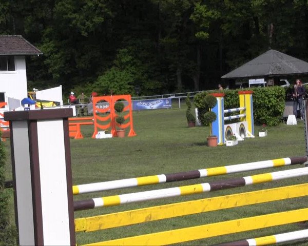 Stukenbrock 2013