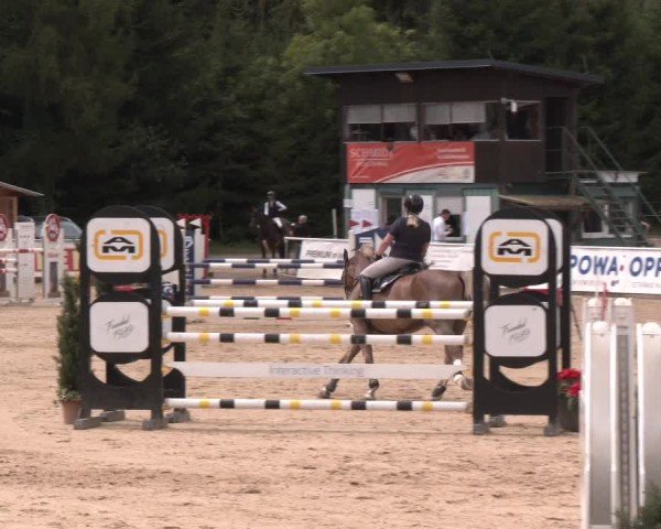 Reitturnier Ranshofen - Braunau am Inn 2024