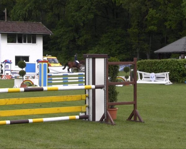 Stukenbrock 2013