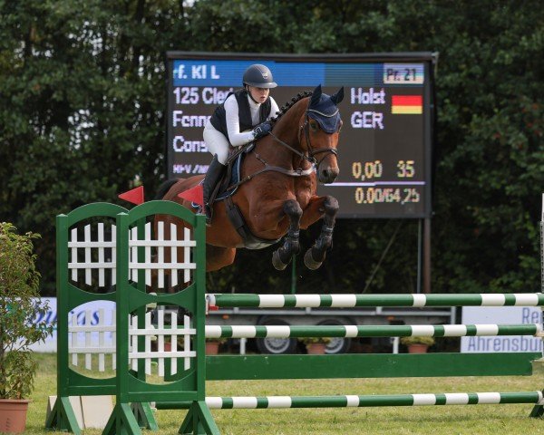 Springpferd Clerico (Holsteiner, 2012, von Consens)