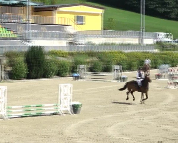 Reitturnier St. Margarethen 2024