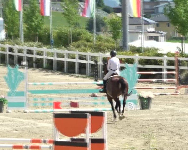 Reitturnier St. Margarethen 2024