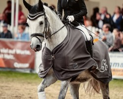 dressage horse Santiana 10 (Rhinelander, 2018, from Sensation)