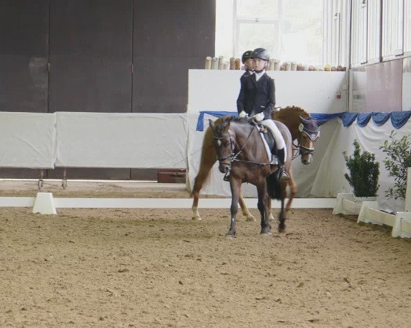 Reitturnier Münster-Albachten 2024