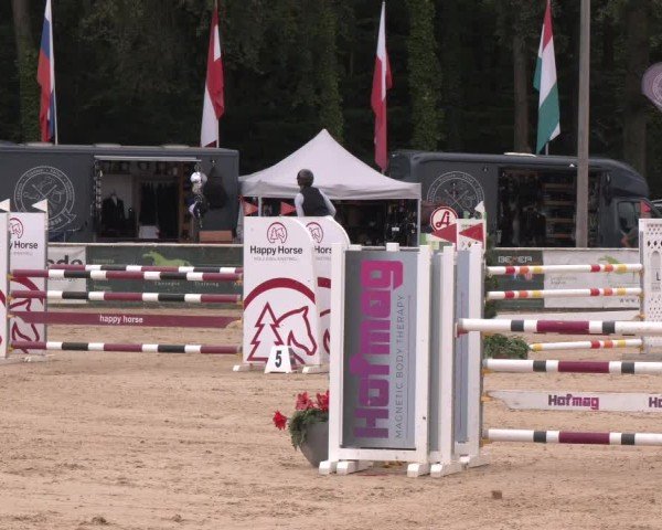 Reitturnier Ranshofen - Braunau am Inn 2024