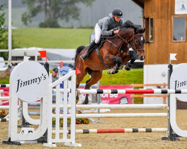 jumper Kannosso (Oldenburg show jumper, 2016, from Kannan)