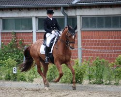 dressage horse Royal de L'Amour (Hanoverian, 2007, from Royal Blend)