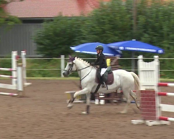 Reitturnier Demantsfürth/Mfr. 2024