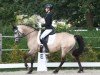 dressage horse Julikas Golden Girl (German Riding Pony, 2014, from Baltic Sanjo)