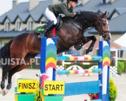 jumper Bartino (KWPN (Royal Dutch Sporthorse), 2006, from Ultimo)