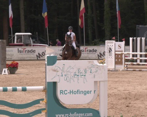 Reitturnier Ranshofen - Braunau am Inn 2024