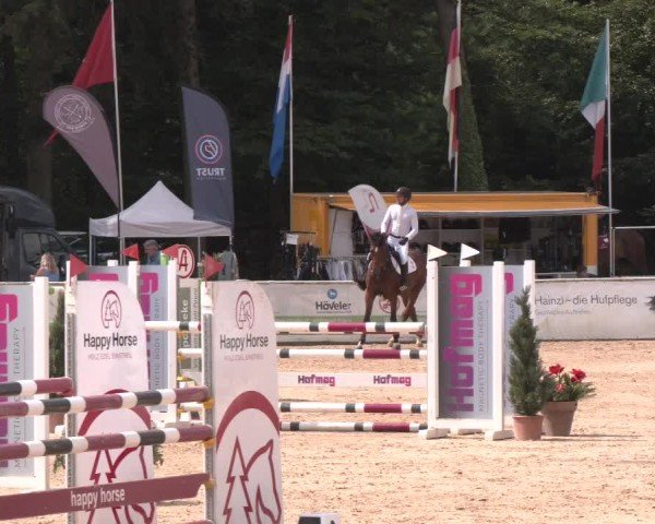 Reitturnier Ranshofen - Braunau am Inn 2024