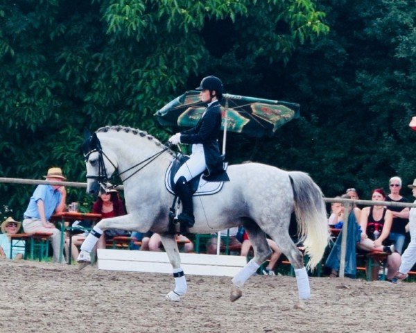 dressage horse Koronel Cen (Pura Raza Espanola (PRE), 2006, from Rondeno IX)