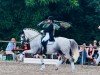 dressage horse Koronel Cen (Pura Raza Espanola (PRE), 2006, from Rondeno IX)