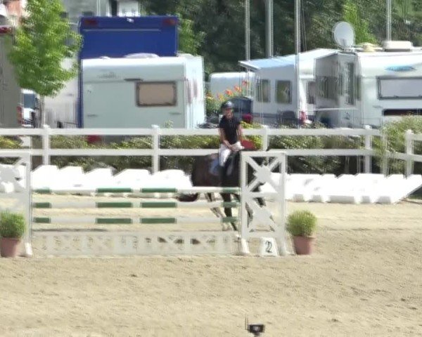 Reitturnier St. Margarethen 2024