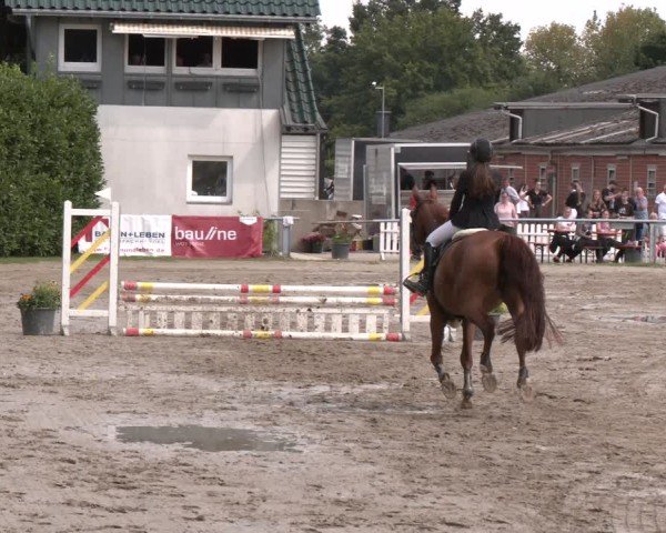 Reitturnier Datteln 2024
