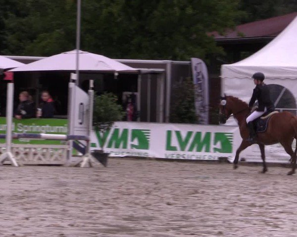Reitturnier Münster-Albachten 2024