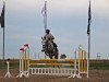 jumper Crumbl's Little Lady (German Sport Horse, 2016, from Crumble)