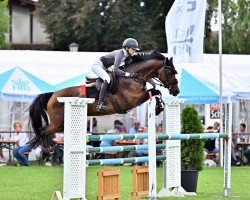 jumper Hope M 3 (Bavarian, 2013, from Cascavelle)