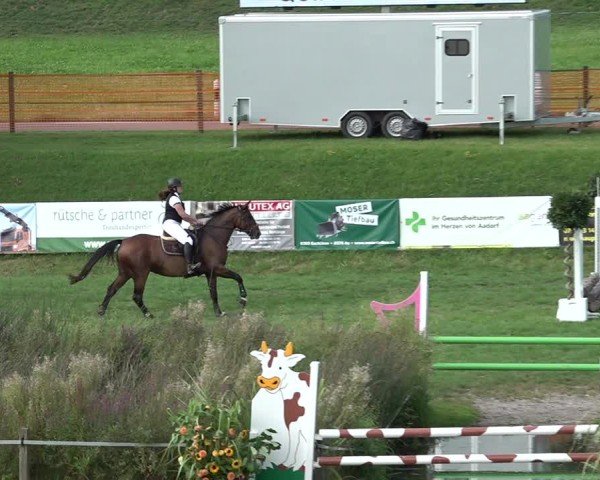 Reitturnier Aadorf 2024