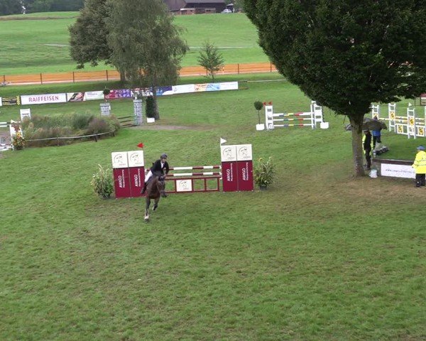 Reitturnier Aadorf 2024