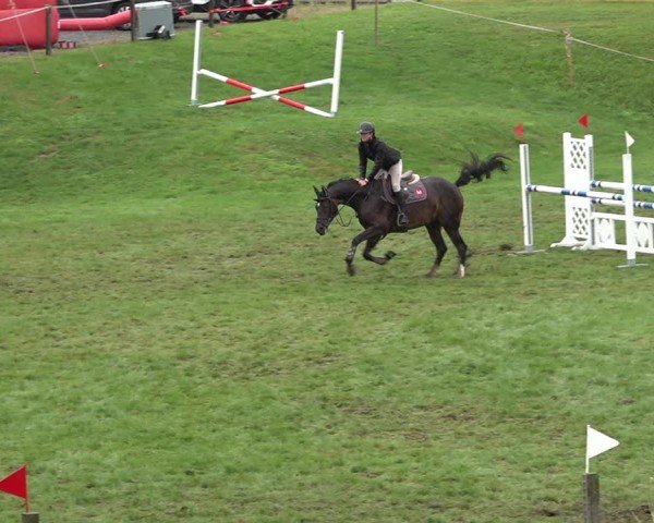 Reitturnier Aadorf 2024