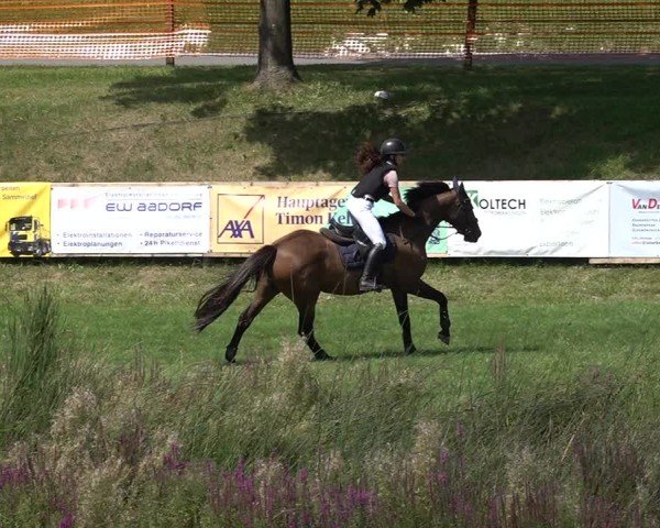 Reitturnier Aadorf 2024