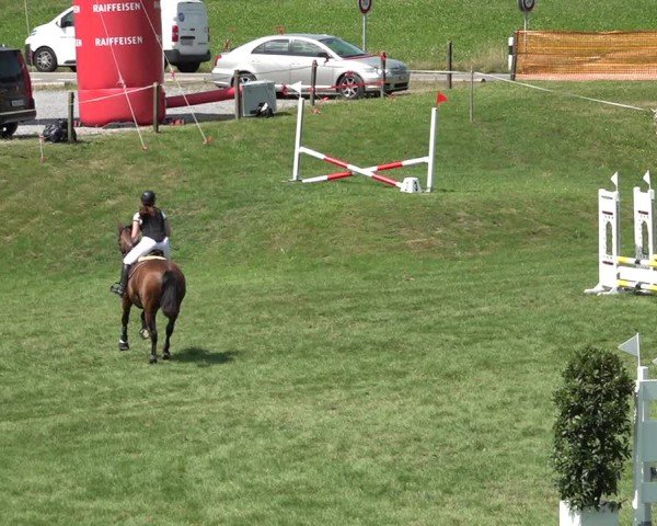 Reitturnier Aadorf 2024