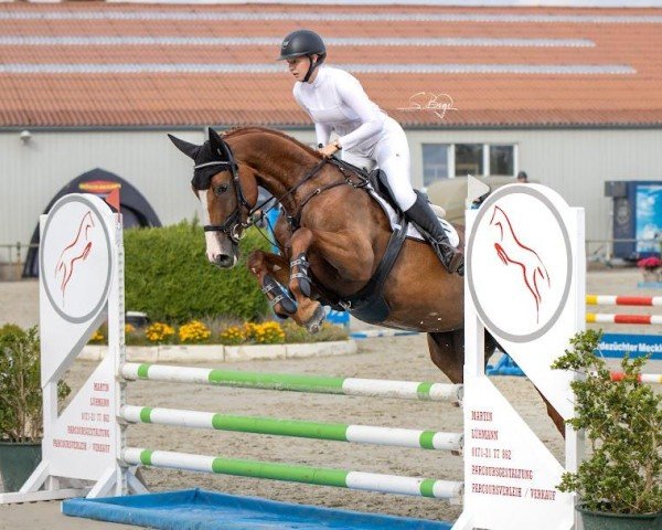 jumper Mon petit chou 4 (Mecklenburg, 2020, from Chacfly PS)