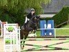 dressage horse Smaragd Fire (German Sport Horse, 2011, from Sir Lommel)