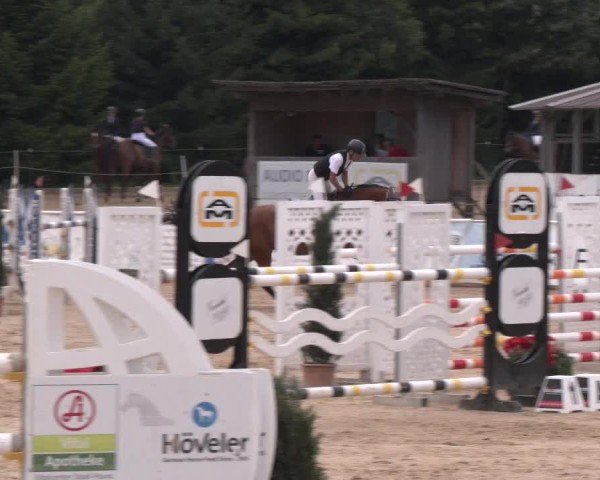 Reitturnier Ranshofen - Braunau am Inn 2024