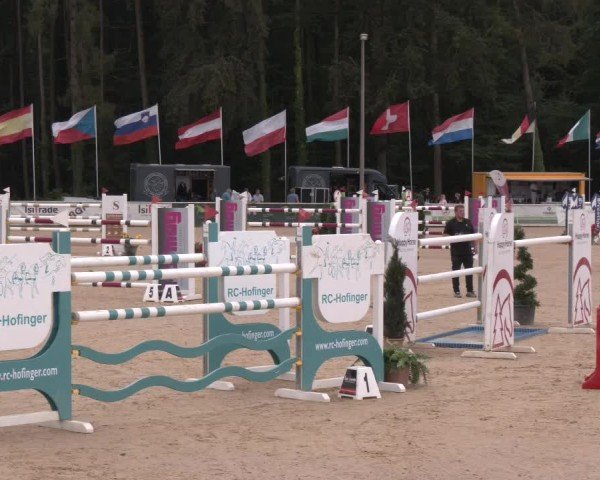 Reitturnier Ranshofen - Braunau am Inn 2024