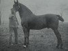 stallion Rotbart 2114 (Holsteiner, 1902, from Falb 1760)