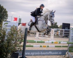 jumper Ca Los H (Holsteiner, 2016, from VDL Cardento 933)