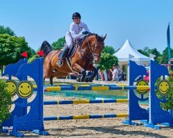 jumper Comtessa S 3 (Oldenburg show jumper, 2015, from Conthargos)