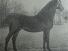 stallion Lord 1933 (Holsteiner, 1897, from Ethelbert 1197)