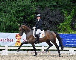 dressage horse Eliza D (German Sport Horse, 2020, from Escamillo)