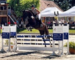 jumper Nikita 539 (KWPN (Royal Dutch Sporthorse), 2018, from Il Est Balou)