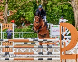 dressage horse Lightning VEC (Holsteiner, 2016, from Lavall I)