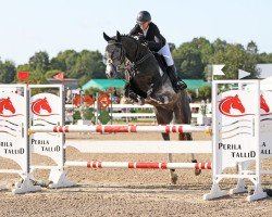 jumper Panter 3P (KWPN (Royal Dutch Sporthorse), 2020, from Jagger Srk)