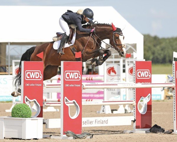 jumper Tracey-K van Kattenheye (Belgian Warmblood, 2019, from VDL Harley)