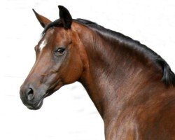 broodmare Vallery (German Riding Pony, 1991, from Valido)