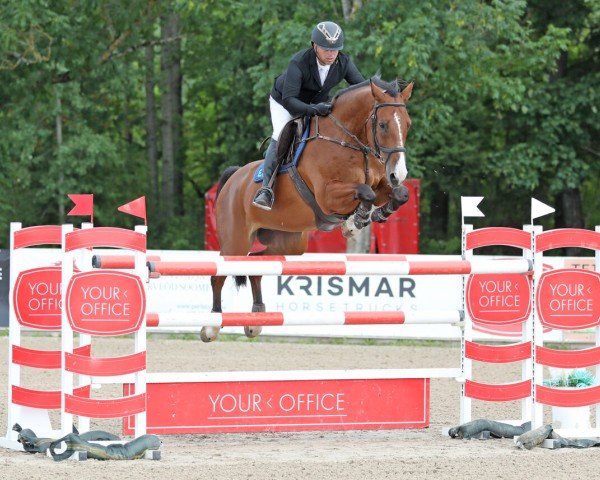 jumper Cobalt Zoetendaele Z (Zangersheide riding horse, 2017, from Cornet Obolensky)