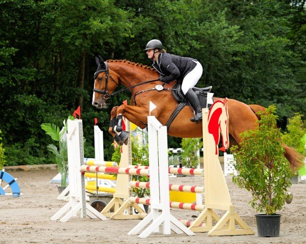 dressage horse Leyla (Holsteiner, 2018, from Uriko)
