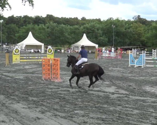 Reitturnier Horitschon 2024