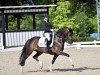 broodmare Simsala D (German Sport Horse, 2018, from Secret)