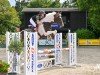 jumper Quick Con Quality CW (Oldenburg show jumper, 2017, from Conthargos)