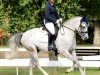 jumper Nobody's Perfect R (German Riding Pony, 2020, from FH Nightcapitol)